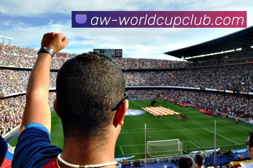 世界杯APP下载服务体系